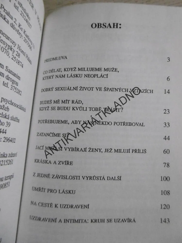 ŽENY, KTERÉ PŘÍLIŠ MILUJÍ, ROBIN NORWOODOVÁ, **an