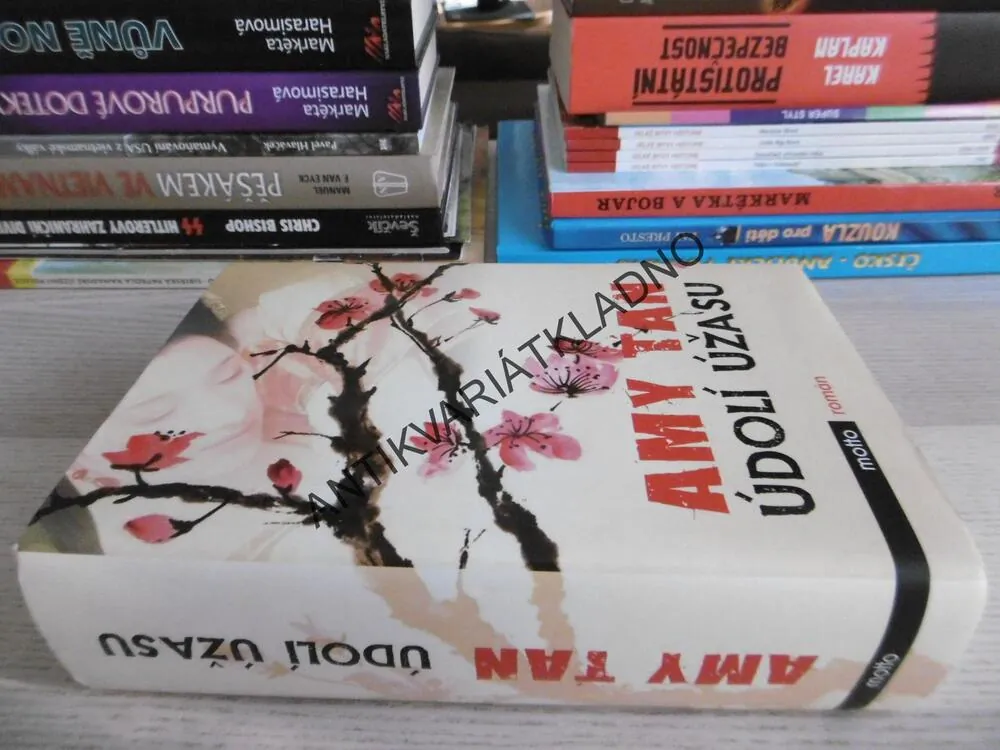 ÚDOLÍ ÚŽASU, AMY TAN, **an