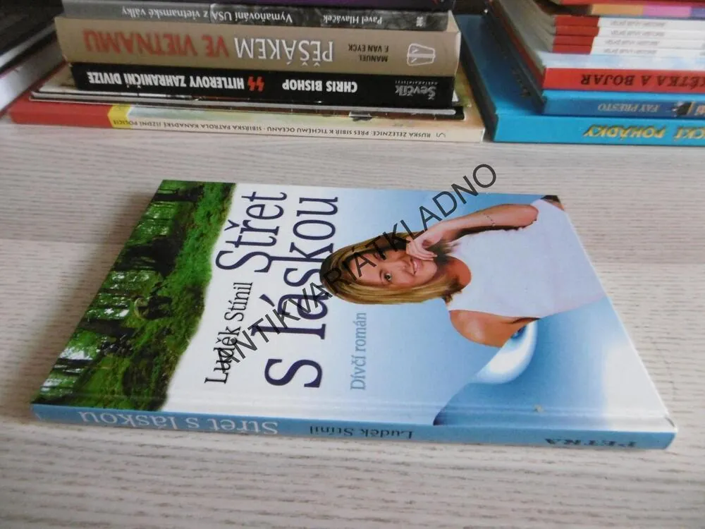 STŘET S LÁSKOU, LUDĚK STÍNIL, **an