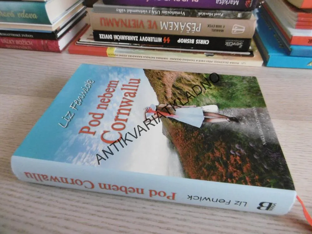 POD NEBEM CORNWALLU, LIZ FENWICK, **an