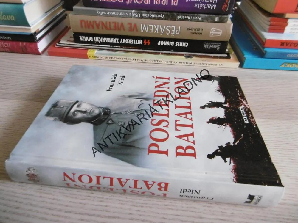 POSLEDNÍ BATALION, FRANTIŠEK NIEDL, **an