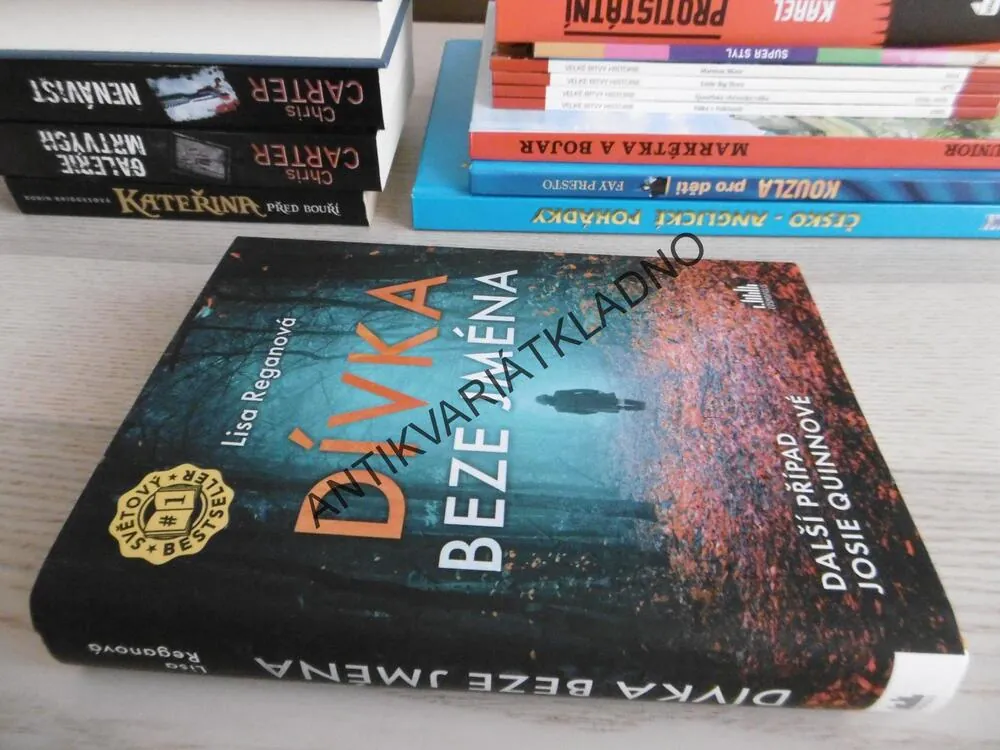 DÍVKA BEZE JMÉNA, LISA REGANOVÁ, **an