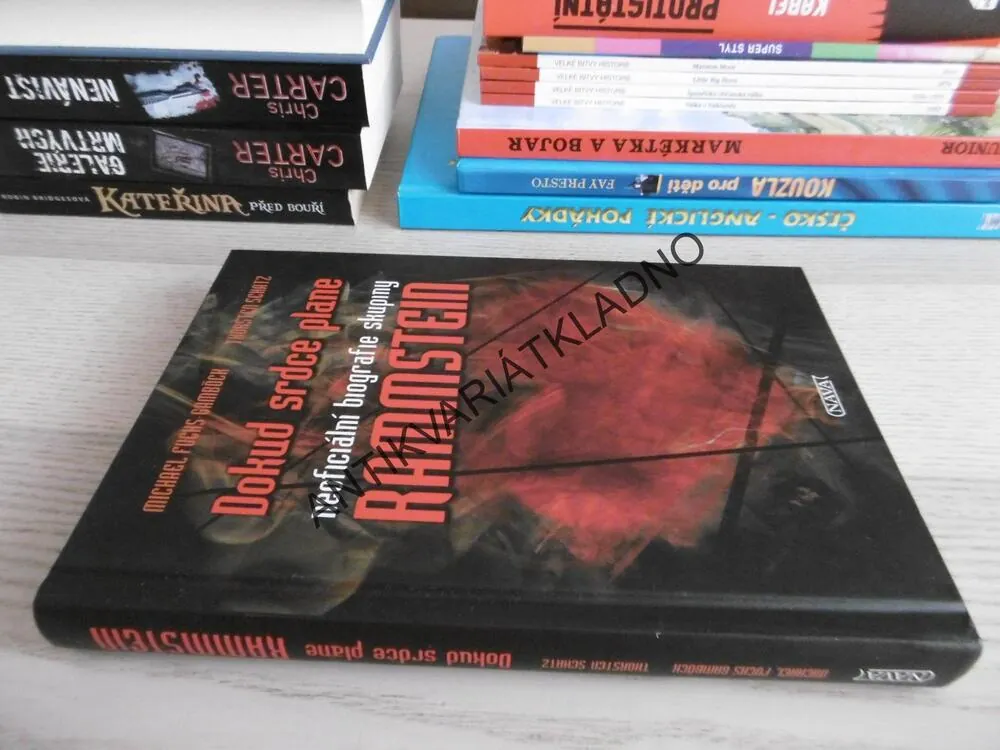 DOKUD SRDCE PLANE, NEOFICIÁLNÍ BIOGRAFIE SKUPINY RAMMSTEIN, MICHAEL FUCHS-GAMBÖCK, THORSTEN SCHATZ