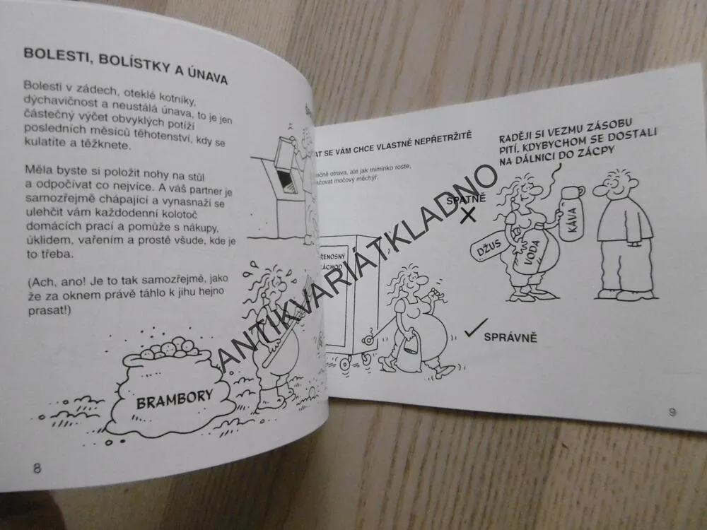 TĚHOTENSTVÍ, NÁVOD K PŘEŽITÍ, MARTIN BAXENDALE