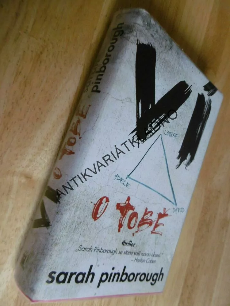VÍ O TOBĚ, SARAH PINBOROUGH, 