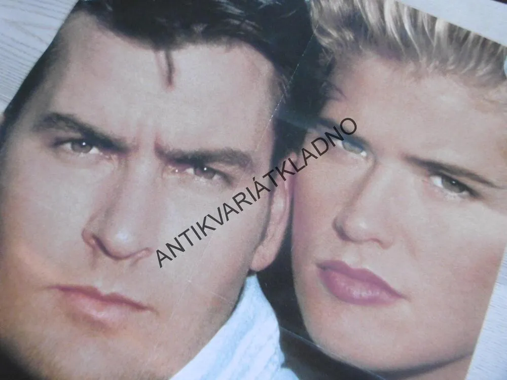 SENZAČNÍ ÚNOS, CHARLIE SHEEN, KRISTY SWANSON, PLAKÁT 19
