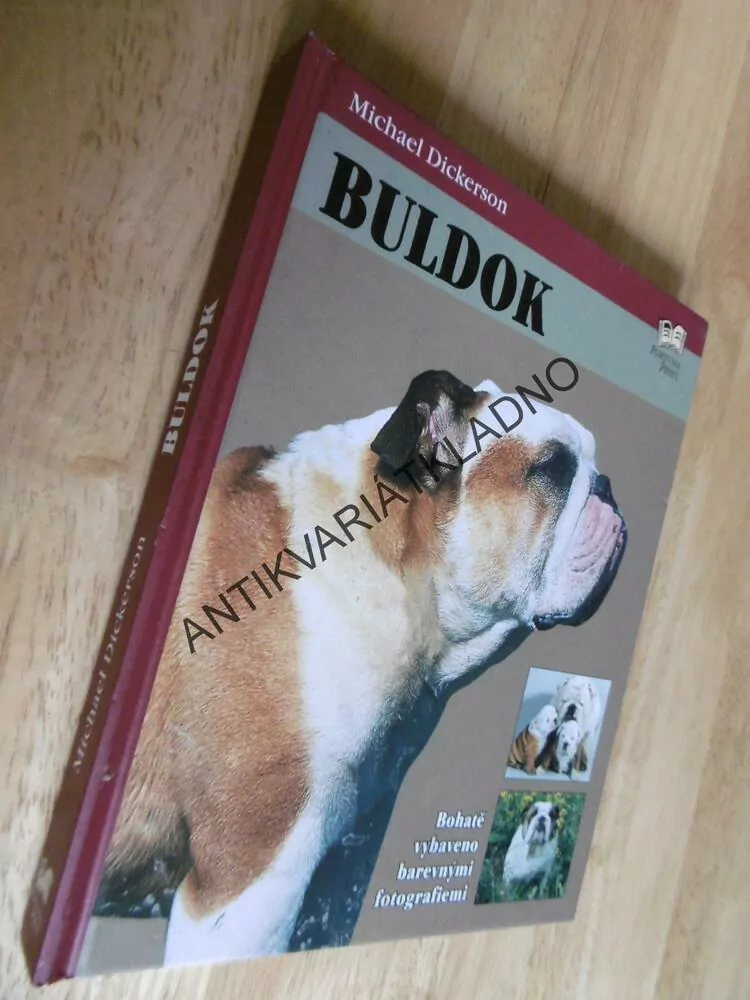 BULDOK, M.DICKERSON, RASA, PES, **an