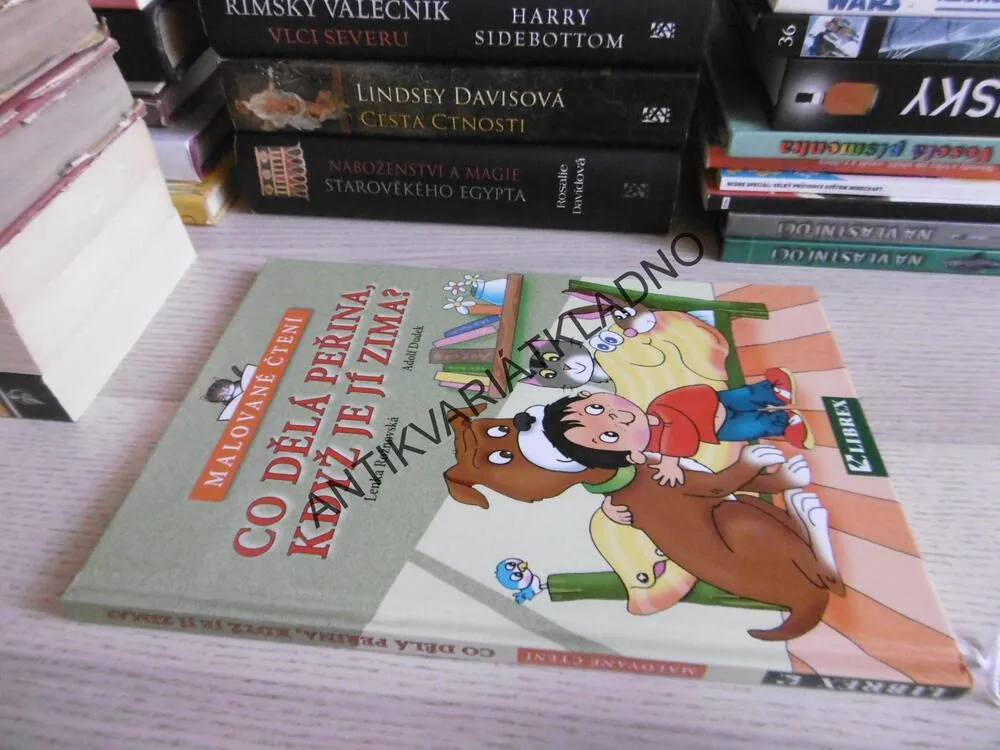 CO DĚLÁ PŘEINA, KDYŽ JE JÍ ZIMA?, LENKA ROŽNOVSKÁ, ADOLF DUDEK, **an