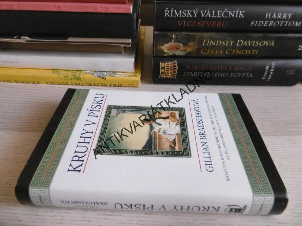 KRUHY V PÍSKU, GILLIAN BRADSHAWOVÁ, **an