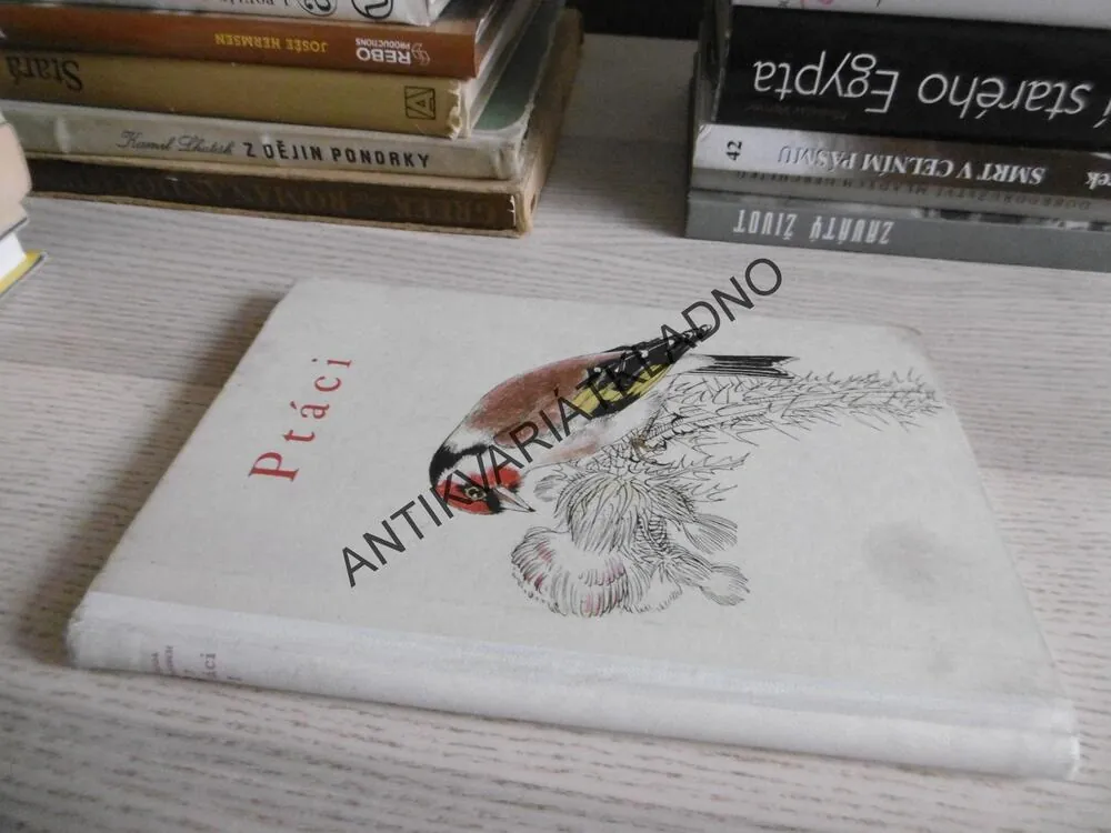 PTÁCI, JIRSÍK, SVOLINSKÝ, **an
