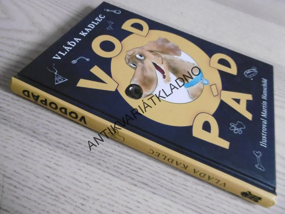 VODOPÁD, VLÁĎA KADLEC, MARTIN HANSCHILD, **an