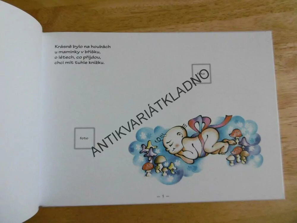 KUK NA SVĚT ANEB PRŮVODCE PRVNÍMI KRŮČKY, MOJE PRVNÍ KNIHA