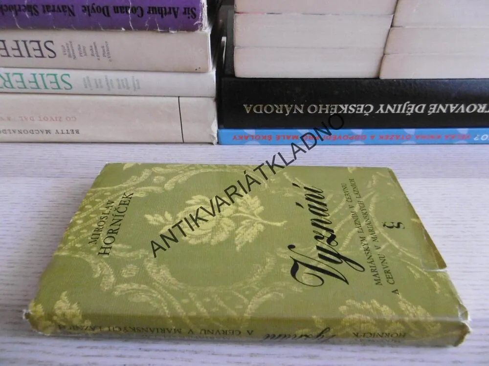 VYZNÁNÍ MARIÁNSKÝM LÁZNÍM V ČERVNU A ČERVNU V MARIÁNSKÝCH LÁZNÍCH, MIROSLAV HORNÍČEK, **an