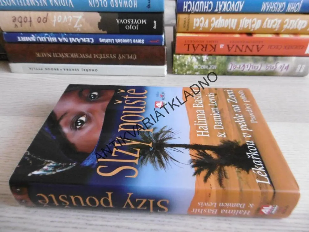 SLZY POUŠTĚ, LÉKAŘKOU V PEKLE NA ZEMI, HALIMA BASHIR, DAMIEN LEWIS, **an