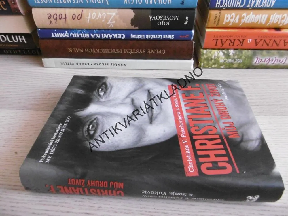 CHRISTIANE F., MŮJ DRUHÝ ŽIVOT, CHRISTIANE V. FELSCHERINOW A SONJA VUKOVIC, **an