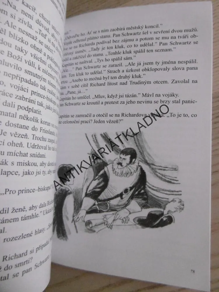 TAJNÝ CHRÁM, LOUISE A. VERNON, **an