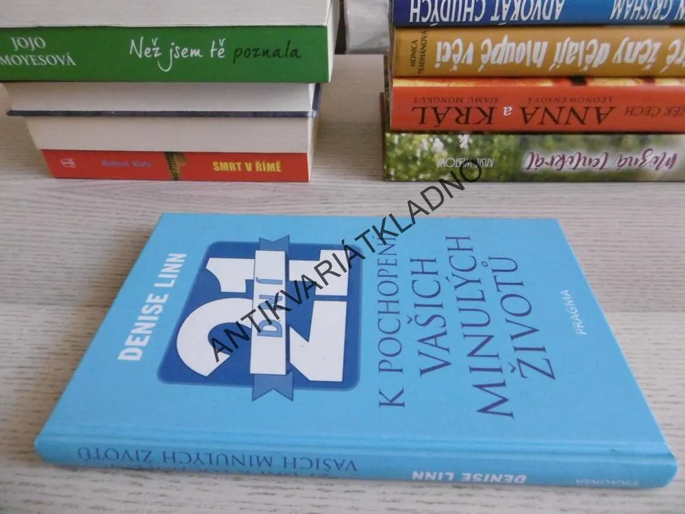 21 DNÍ K POCHOPENÍ VAŠICH MINULÝCH ŽIVOTŮ, DENISE LINN, **an