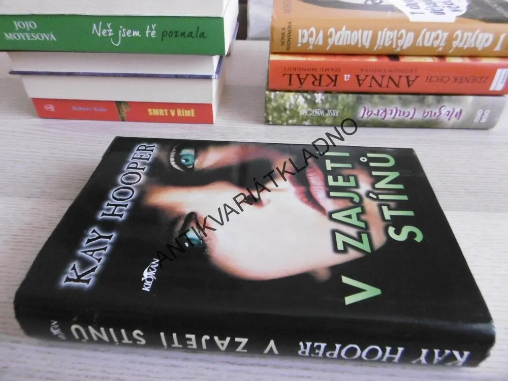 V ZAJETÍ STÍNŮ, KAY HOOPER, **an