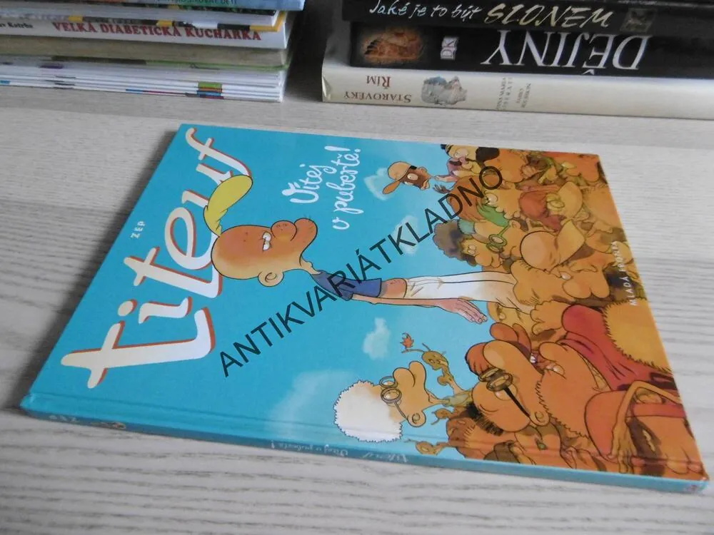 TITEUF, VÍTEJ V PUBERTĚ!, ZEP, **an