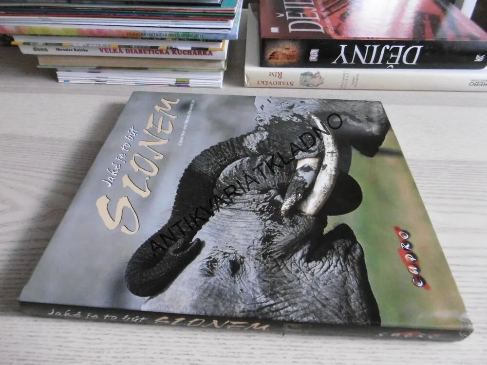 JAKÉ JE TO BÝTI SLONEM, CHRISTINE A MICHEL DENIS-HUOT, **an