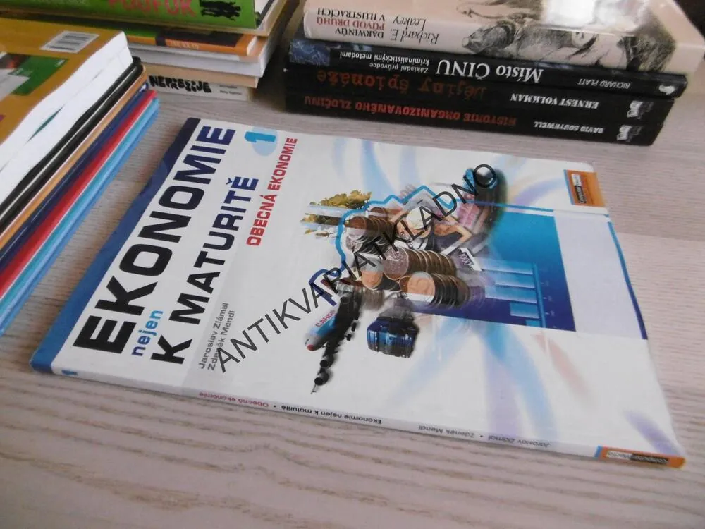 EKONOMIE NEJEN K MATURITĚ, MATURITA, 1. OBECNÁ EKONOMIE