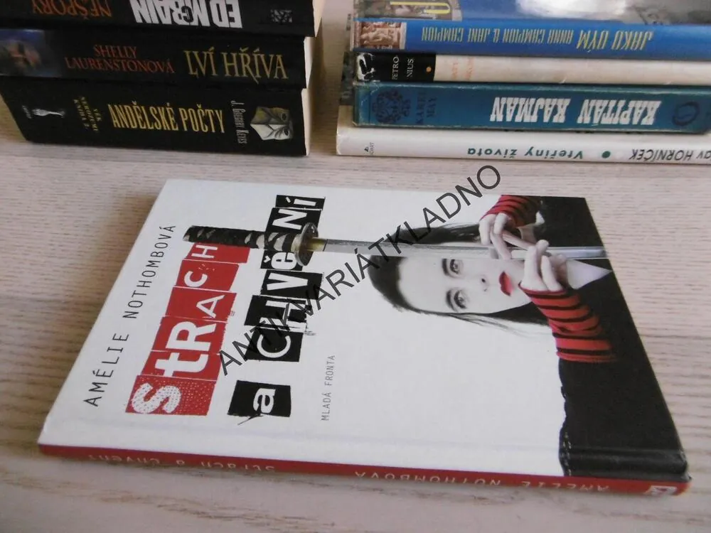 STRACH A CHVĚNÍ, AMÉLIE NOTHOMBOVÁ, **an