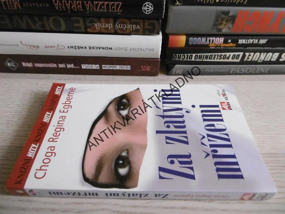 ZA ZLATÝMI MŘÍŽEMI, CHOGA REGINA EGBEME, **an