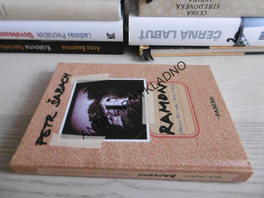 RAMON (PSÁNO PRO NEW YORK TIMES), PETR ŠABACH, **an