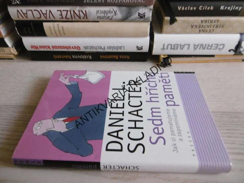 SEDM HŘÍCHŮ PAMĚTI, DANIEL L. SCHACTER, **an