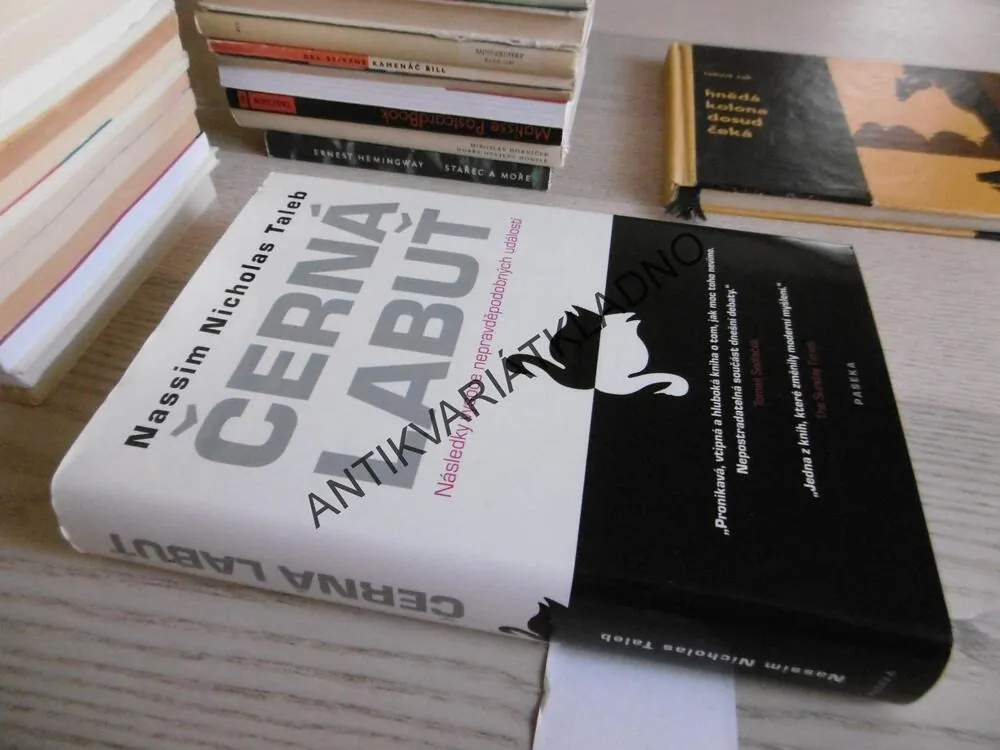 ČERNÁ LABUŤ, NASSIM NICHOLAS TALEB, **an
