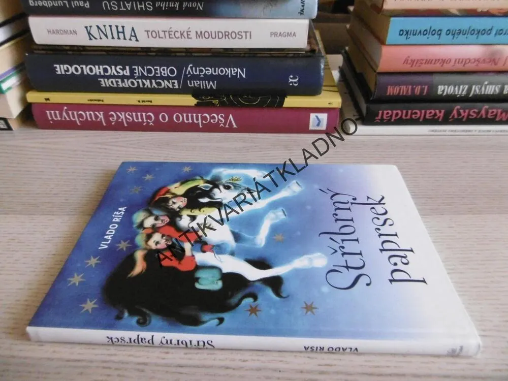 STŘÍBRNÝ PAPRSEK, VLADO RÍŠA, **an