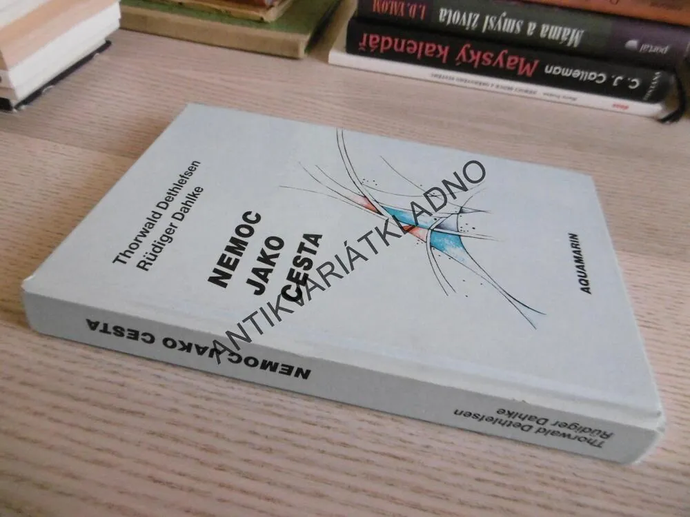 NEMOC JAKO CESTA, RÜDIGER DAHLKE, THORWALD DETHLEFSEN, **an