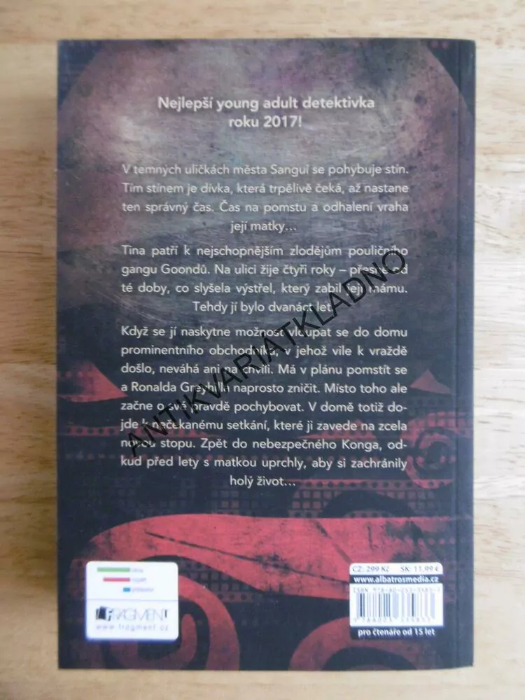 MĚSTO SVĚTCŮ A ZLODĚJŮ, NATALIE C.ANDERSONOVÁ