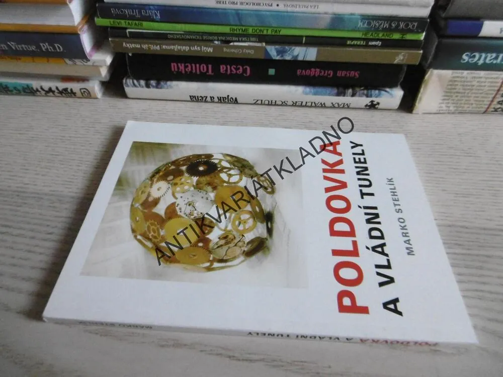 POLDOVKA A VLÁDNÍ TUNELY, MARKO STEHLÍK, **an