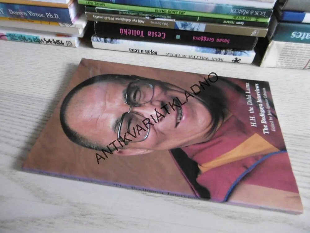 THE BODHGAYA INTERVIEWS, DALAJLAMA, **an