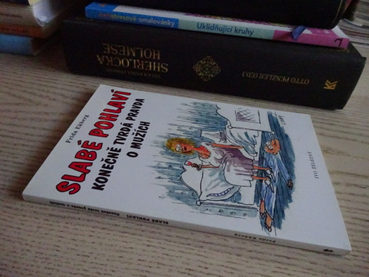 SLABÉ POHLAVÍ, KONEČNĚ TVRDÁ PRAVDA O MUŽÍCH, FRIDA EKBERG, **an