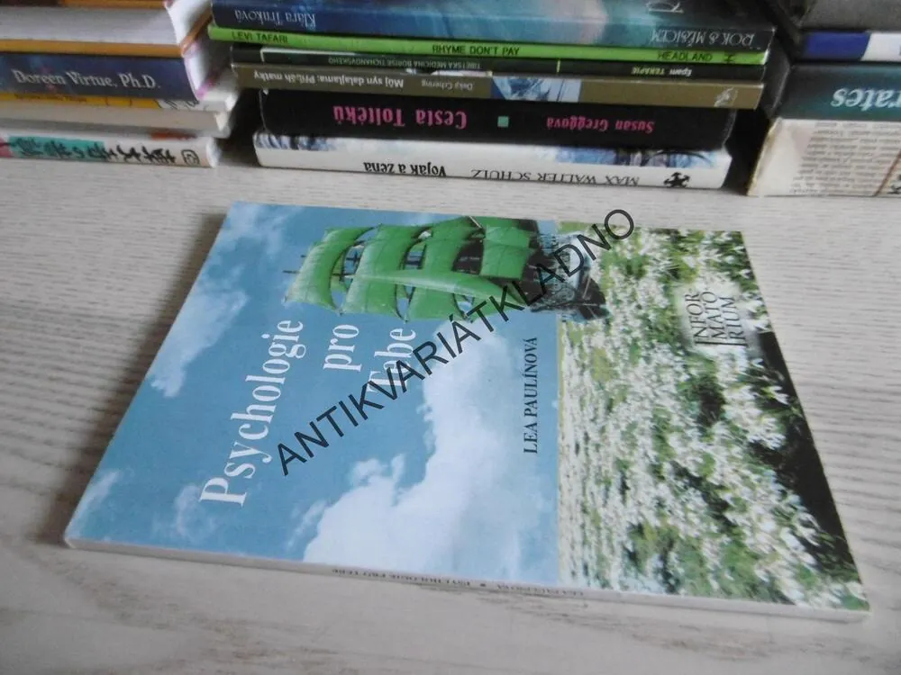 PSYCHOLOGIE PRO TEBE, LEA PAULÍNOVÁ, **an