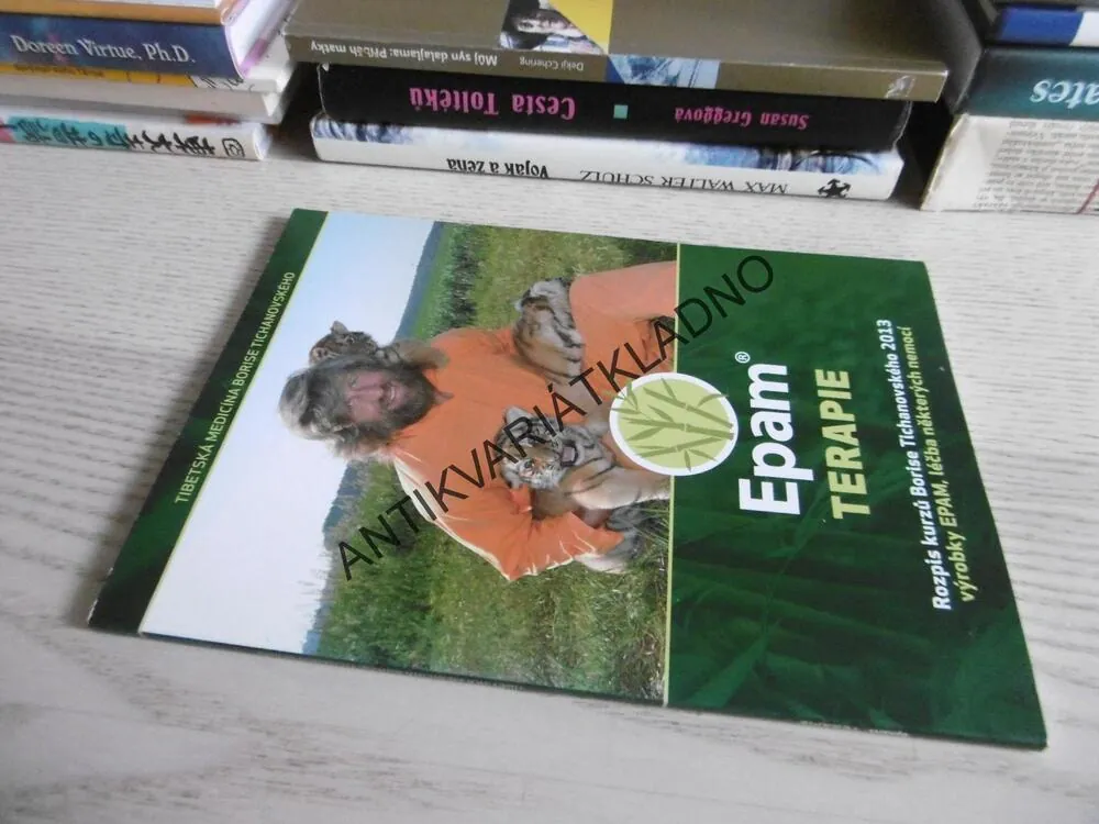 EPAM TERAPIE, ROZPIS KURZŮ BORISE TICHANOVSKÉHO 2013