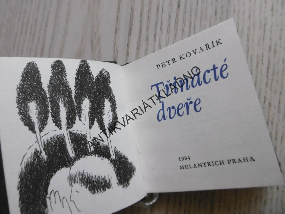 TŘINÁCTÉ DVEŘE, PETR KOVAŘÍK, MINI POEZIE