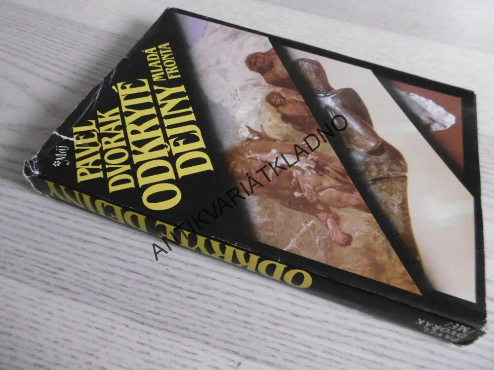 ODKRYTÉ DĚJINY, PAVEL DVOŘÁK,  **an