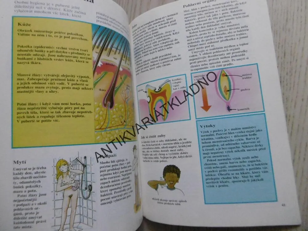 DOSPÍVÁNÍ A SEX, PUBERTA, TĚLESNÉ ZMĚNY A SEX,, **an