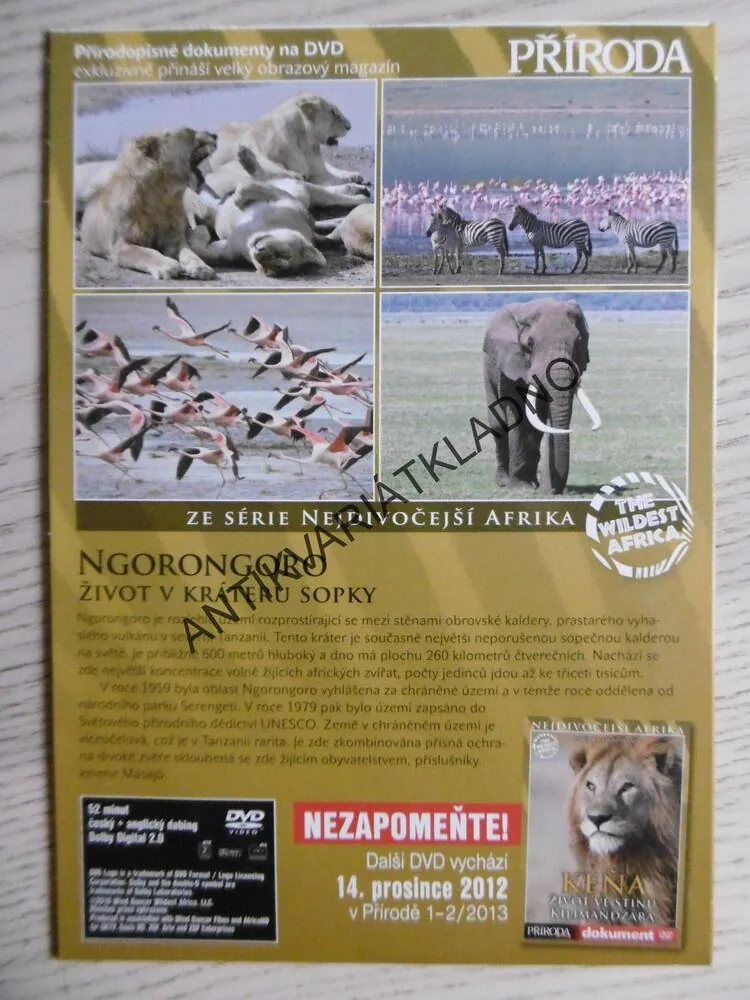 NGORO NGORO, ŽIVOT V KRÁTERU SOPKY, DVD FILM DOKUMENT
