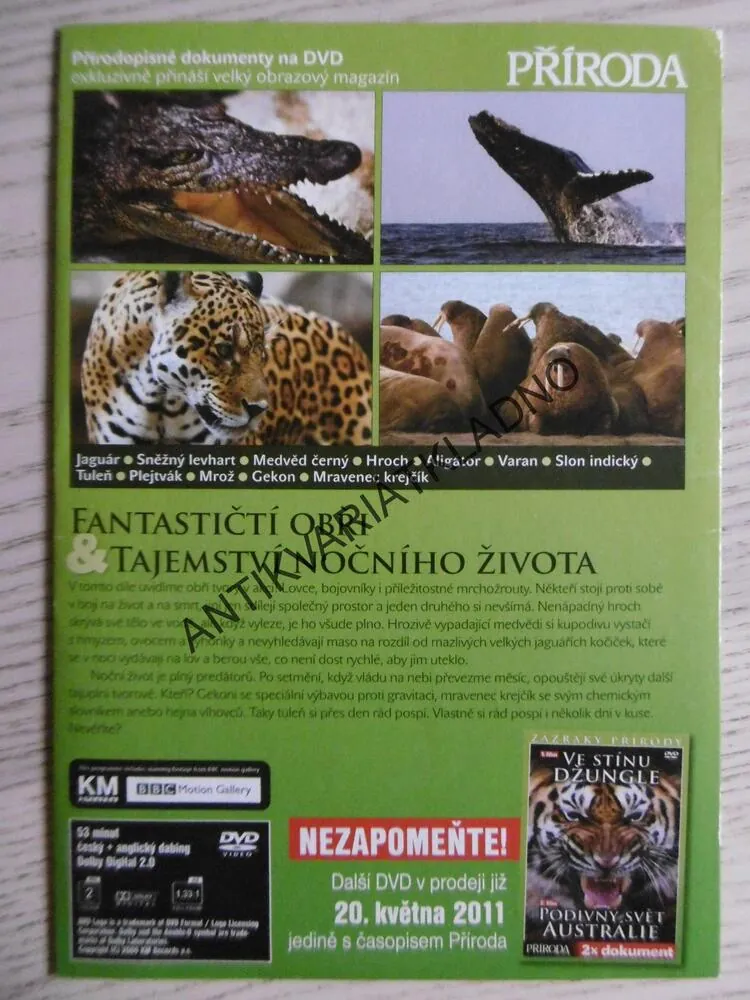 FANTASTIČTÍ OBŘI, TAJEMSTVÍ NOČNÍHO ŽIVOTA, DVD FILM DOKUMENT