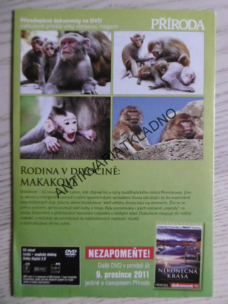 RODINA V DIVOČINĚ: MAKAKOVÉ, DVD FILM DOKUMENT