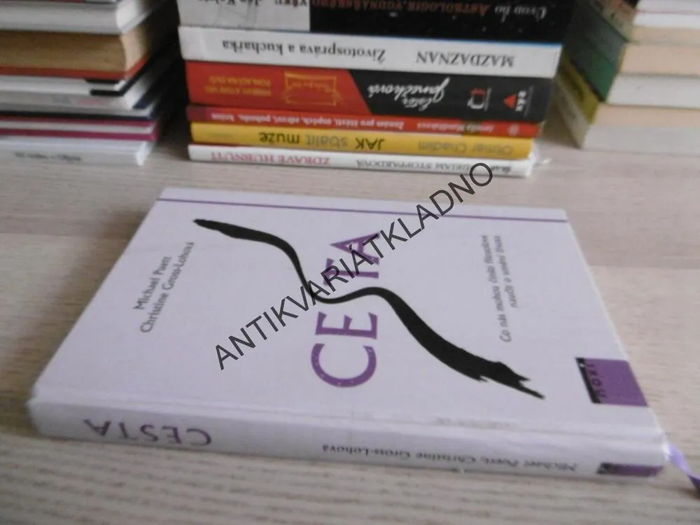 CESTA, MICHAEL PUETT, CHRISTINE GROSS-LOHOVÁ, **an