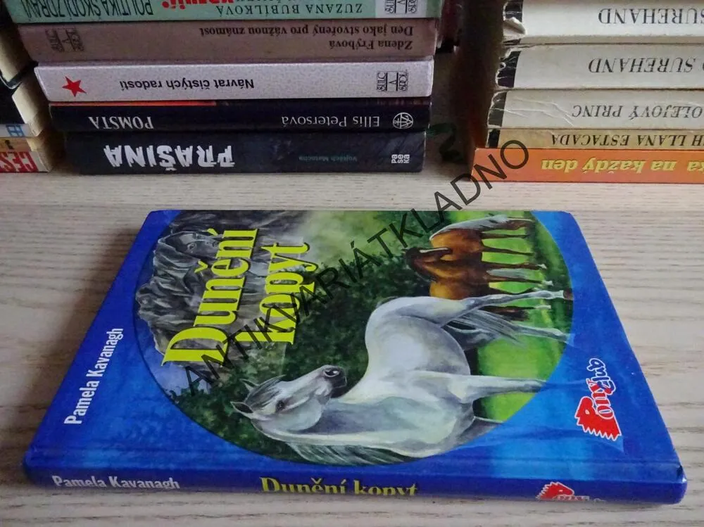 DUNĚNÍ KOPYT, PAMELA KAVANAGH, **an