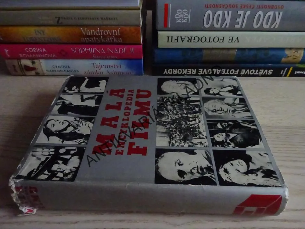 MALÁ ENCYKLOPÉDIA FILMU, KOLEKTIV AUTORŮ, **an