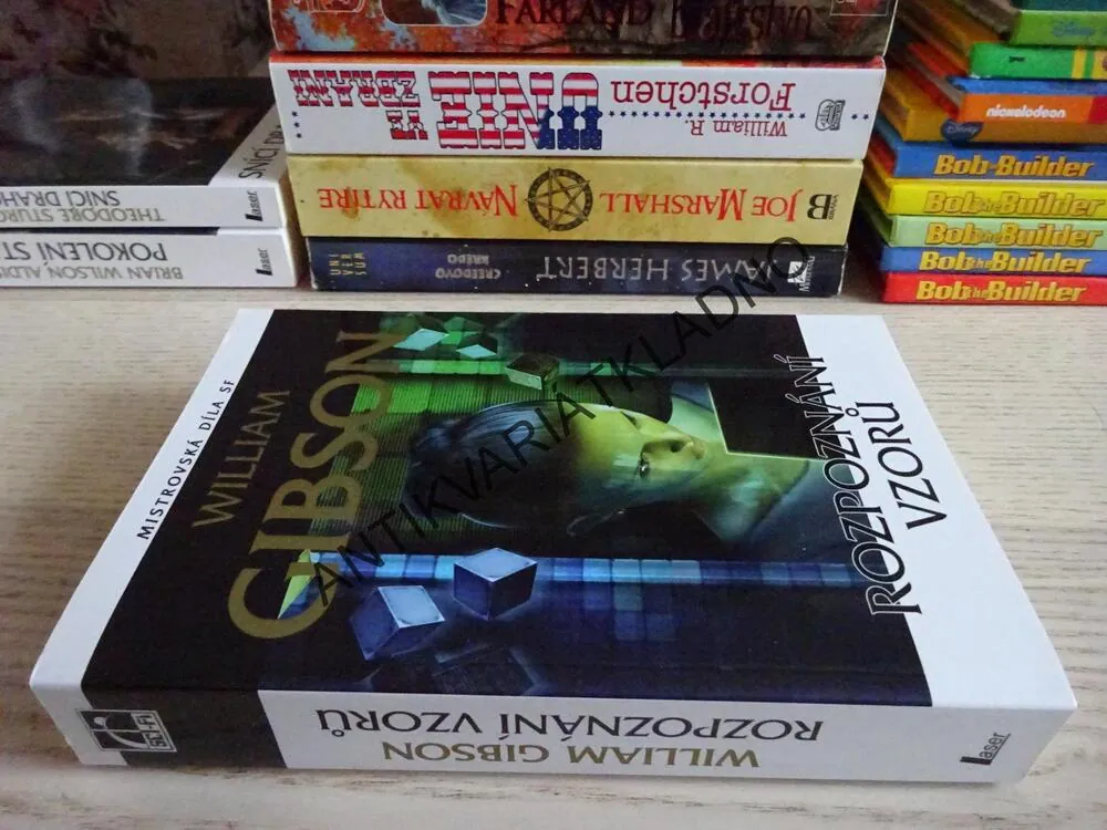 ROZPOZNÁNÍ VZORŮ, WILLIAM GIBSON, **an