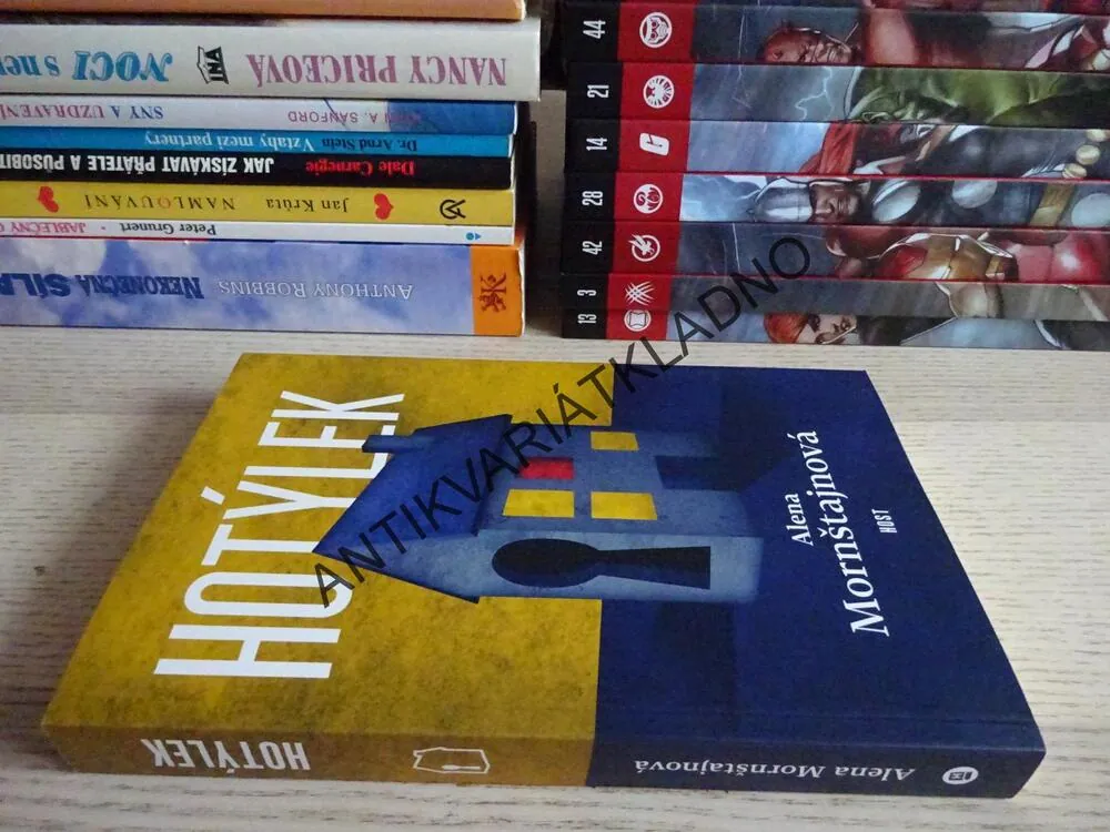HOTÝLEK, ALENA MORNŠTAJNOVÁ, **an