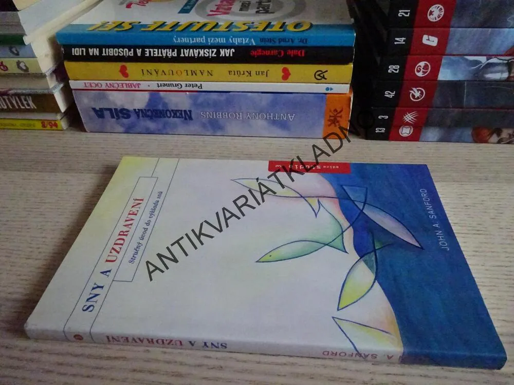 SNY A UZDRAVENÍ, JOHN A. SANFORD, **an